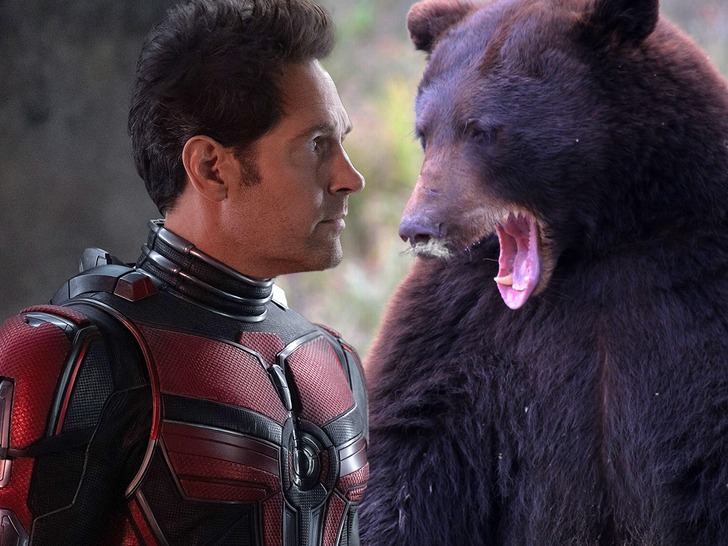 Antman and The Wasp: Quantumania Vs Cocaine Bear